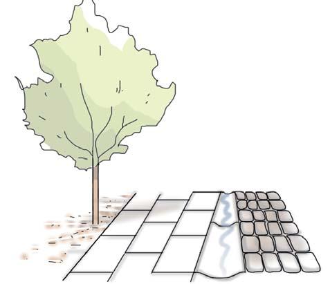 Nya byggnader tillåts överlag i mellan tre till åtta våningar. Hänsyn ska tas till intilliggande byggnadshöjder. Sadeltak ska användas med takvinklar likt befintlig bebyggelse.