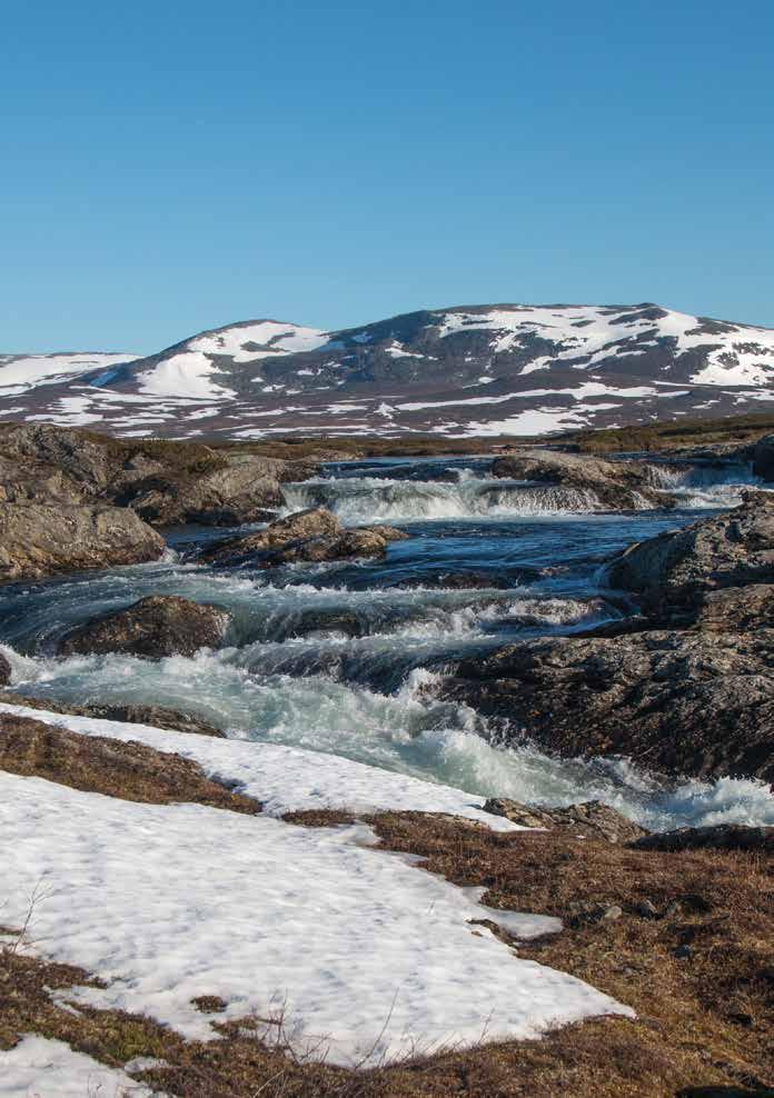 TEOLOGISKA INSTITUTET I FINLAND Kajsaniemigatan 13 A 00100 HELSINGFORS Guds flod är full av vatten.