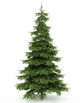 Det är tillåtet att sälja jordgubbar i centrala Landskrona veckorna runt midsommar. Om jordgubbsvagnen har skärmtak ska fri höjd under taket vara minst 2,20 meter.