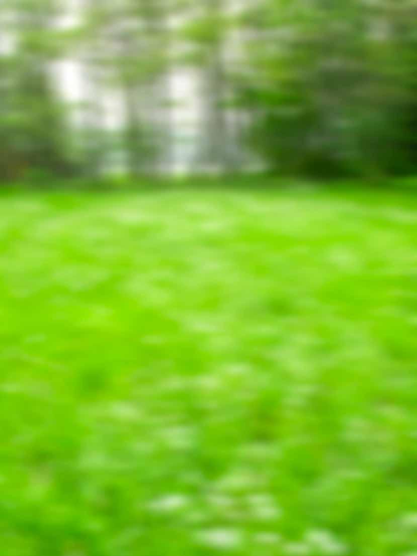 Wow! Missa inte chansen till en sommar på egen halvö med massor av nya kompisar!