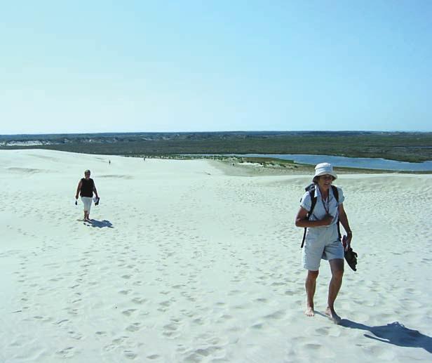 JONSELL Här ser vi artikelförfattarinnan och Margareta Edqvist sträva uppför Raabjerg Mile, en väldig sanddyn strax söder om Skagen på Jyllands nordspets.