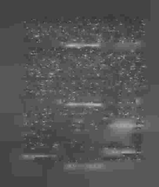 68 publicerad, kunde den sökta fasställelsen icke meddelas; hvaremot Högsta Domstolen vid det förhållande att, enligt hvad handlingarna utvisade, de, hvilkas rätt varit af skiftesförrättningen