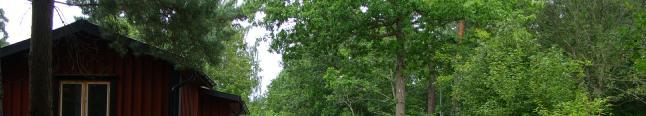 Dnr 2007-0698 211