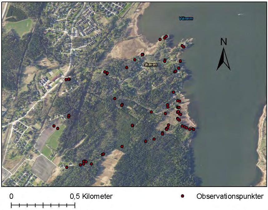 DETALJPLAN SKAVEN OCH DEL AV ÖXNERED, VÄNERSBORG PM BERGTEKNIK FÖR DETALJPLAN 11 3 Bergtekniska observationer Fältundersökningen i rubricerat område (Figur 6) utfördes under vecka 43, 2017, och