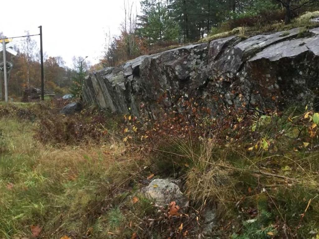 Mindre block kan falla ut, främst från slänten som vätter mot Älvsborgsbanan i områdets nordvästra delar (Figur 9).