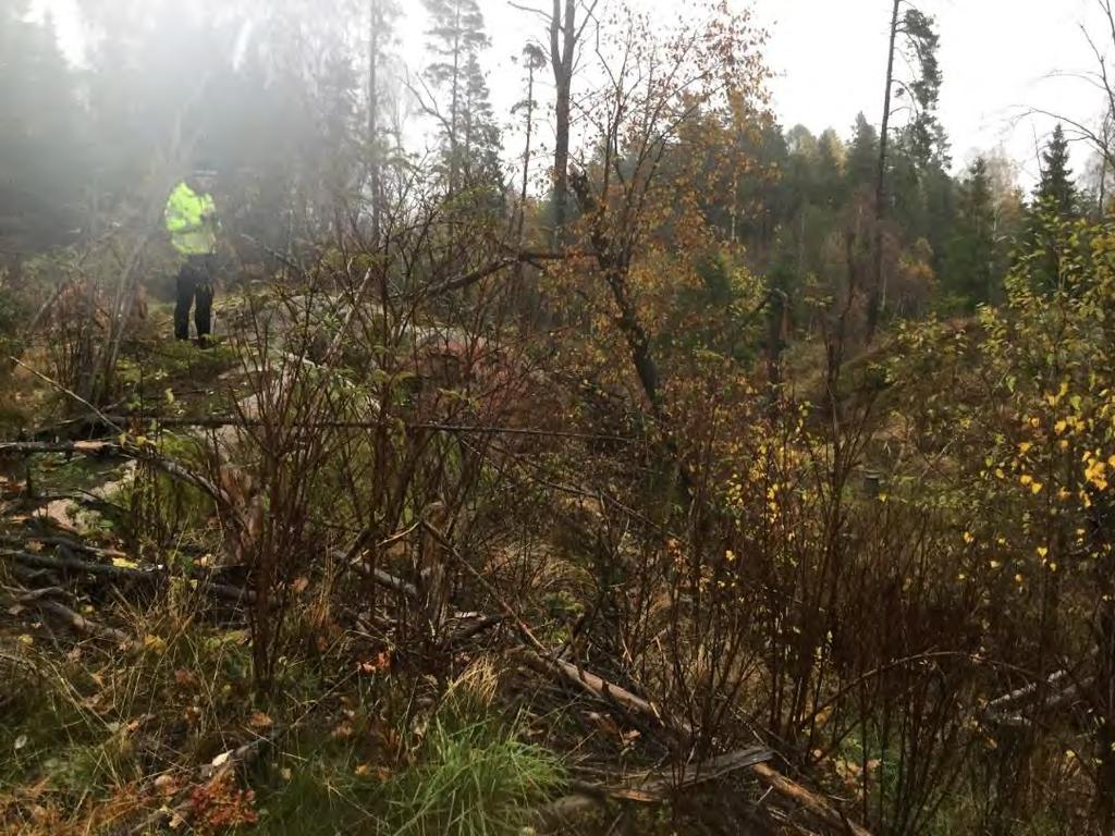 14 DETALJPLAN ÖXNERD SKAVEN 3.1.2 Område B Ravinen Ravinen som visas i Figur 10 har skurits ut i berg och senare delvis fyllts med jord.