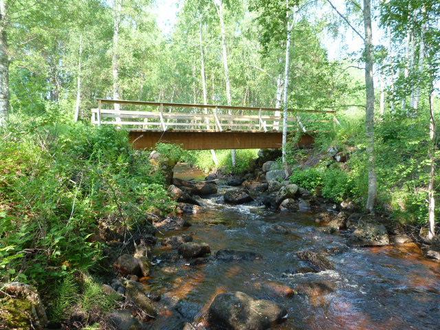 Här är arbetsledningen viktig för utformningen. Innan Bossån når ner till E45 lugnar det av och blir förhållandevis djupt och en härlig slutenhet av lövvegetation råder. Figur 22.