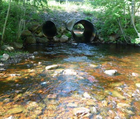 åbottnen. Detta kan åtgärdas maskinellt genom att naturalisera den större trummans botten, lyfta bort insuget samt anlägga ett stryk i nedströmsläget.
