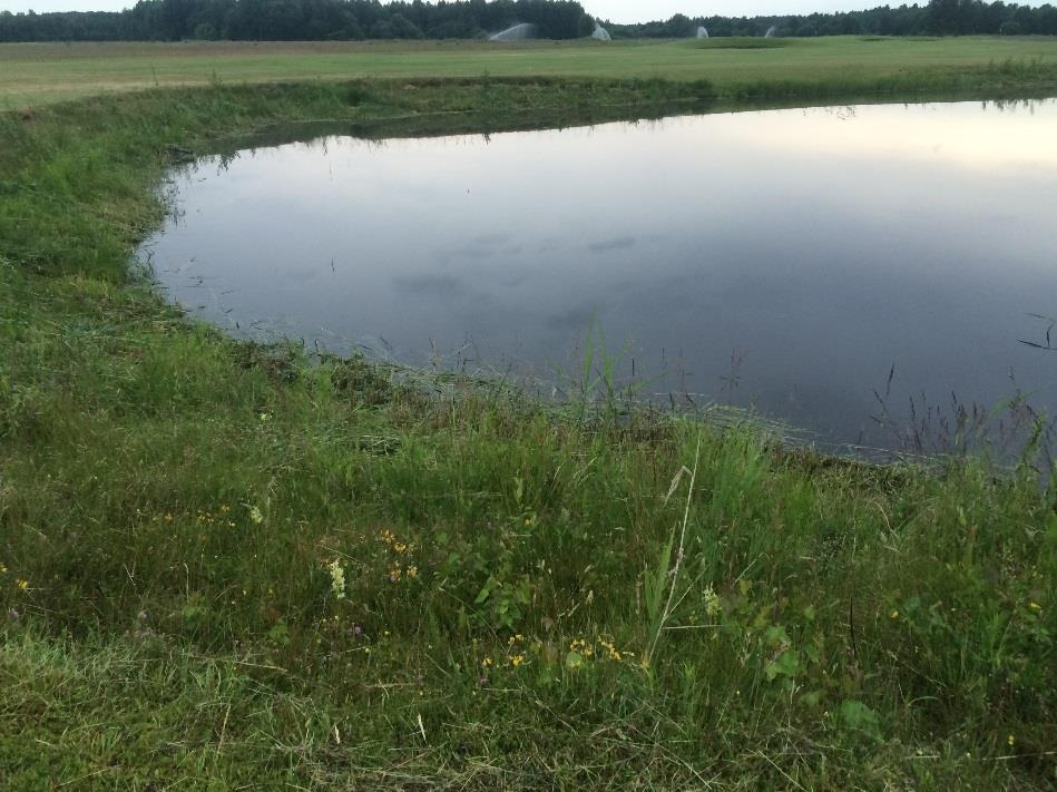 F Grumlig vegetationsrik damm. Förekomst av gädda och sjöfågel. Övervintringsmiljöer i närliggande skog. Permanent vattenhållande. G Förekomst av gädda och sjöfågel.