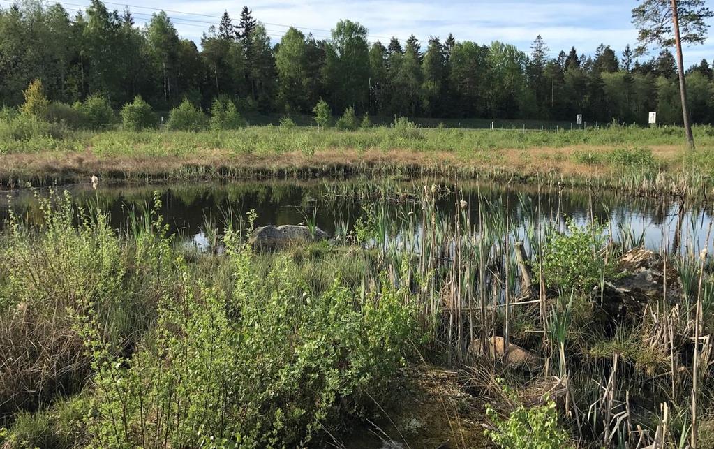 I den mellersta norra delen av inventeringsområdet, nära områdets utbuktning åt nordväst, ligger en anlagd damm som inte är markerad i befintliga kartor, se figur 6.