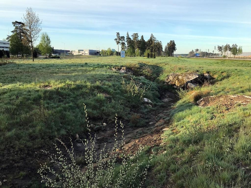 Fördjupad artinventering fåglar För att kartlägga fågelfaunan i utredningsstråket har en linjetaxering av hela den aktuella sträckan utförts vid ett tillfälle.