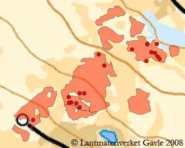 Missgynnade (NT) Nordtagging (Odonticium romellii) Gulporing (Junghuhnia luteoalba) Sårbara (VU) Gräddporing