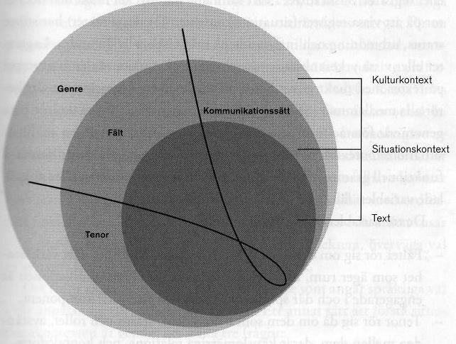 För Halliday (2004:3) är begreppet text centralt. Med text avser han any instance of language, in any medium, that makes sense to someone who knows the language.