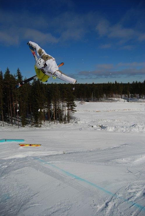 Freeskiåkarnas kunnande urskilja sitt sätt att röra sig lösa rörelseproblem urskilja sin hastighet