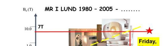 234 243) presenterades en lång rad arbeten från Lund. (Gyöffry-Wagner, Englund et al.