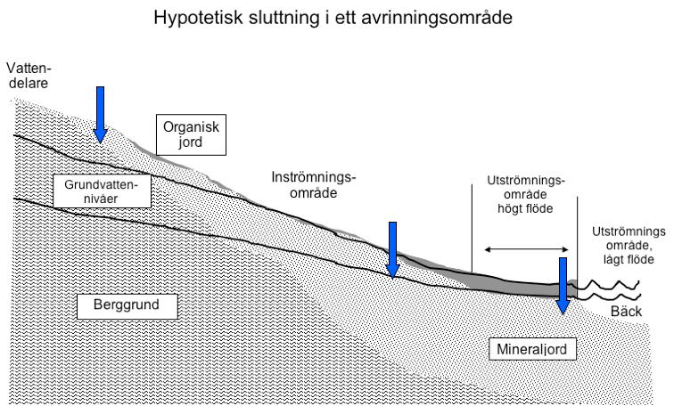RAPPORT 16/2008 Lågt flöde Högt flöde Figur 1.