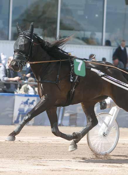S TRAVET Söndag april.