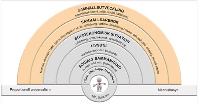 Begrepp och definitioner Bestämningsfaktorer för hälsa Bestämningsfaktorer är faktorer som påverkar hälsotillståndet.