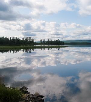 Försvunnen Den som oavbrutet under två år saknat känd