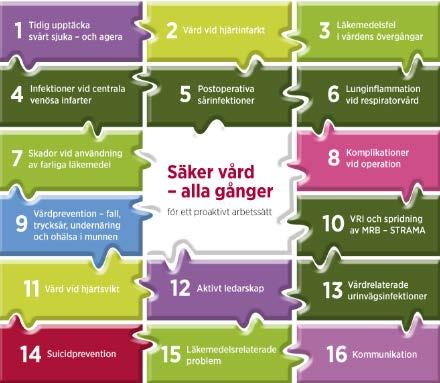 patient. Detta beskrivs i Säker vård alla gånger med 16 fokusområden som utgör basen för utvecklingsarbetet i patientsäkerhet.