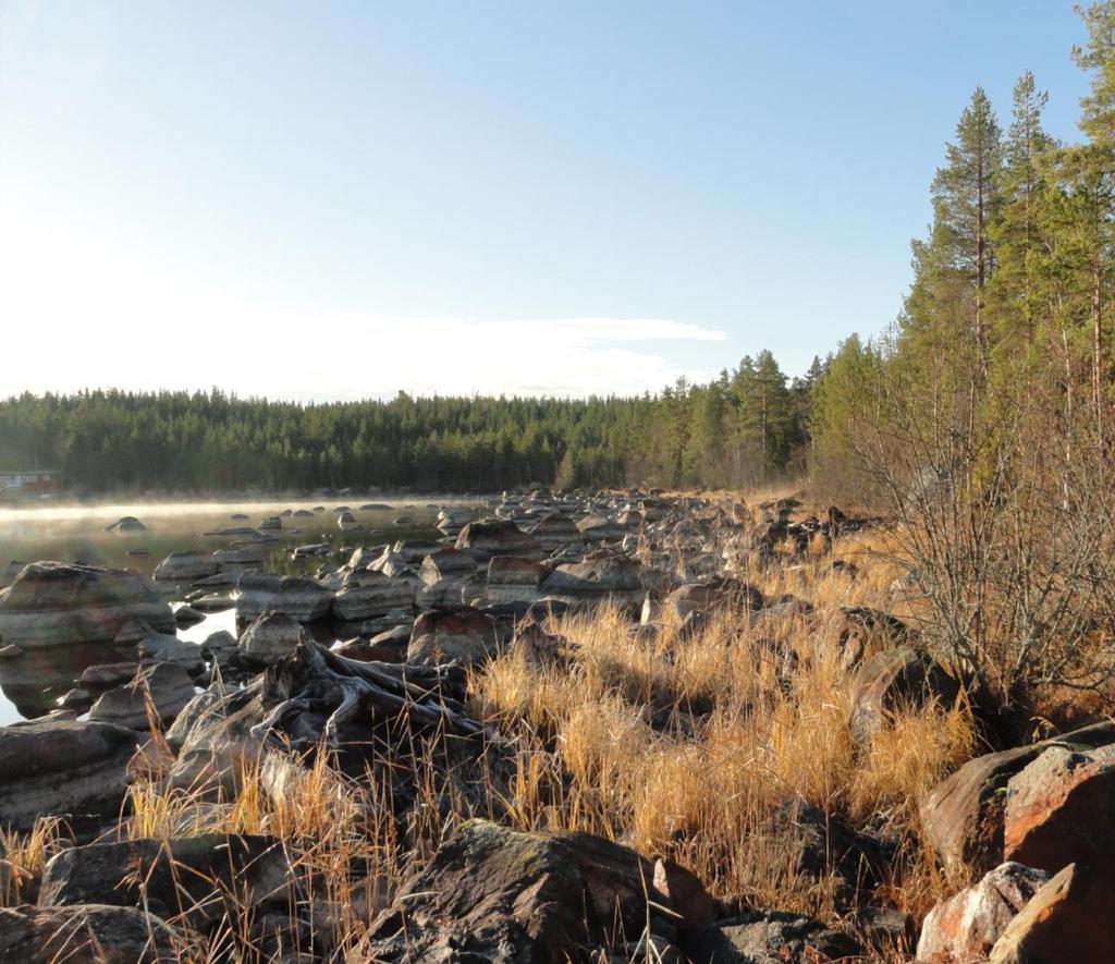 FÖRNYAD UTSTÄLLNINGSHANDLING