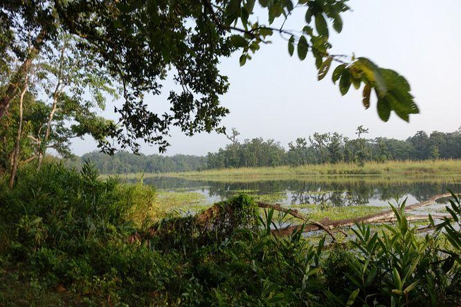 Jeepsafari Chitwan Efter lunch fortsatte vi med