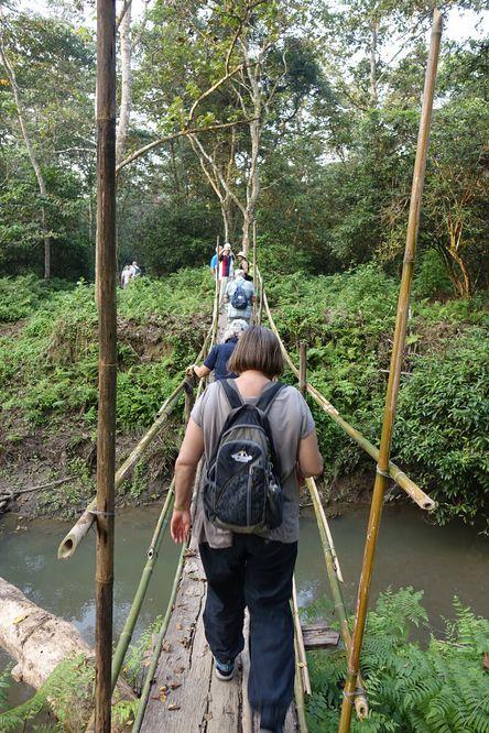 Båtsafari Chitwan.