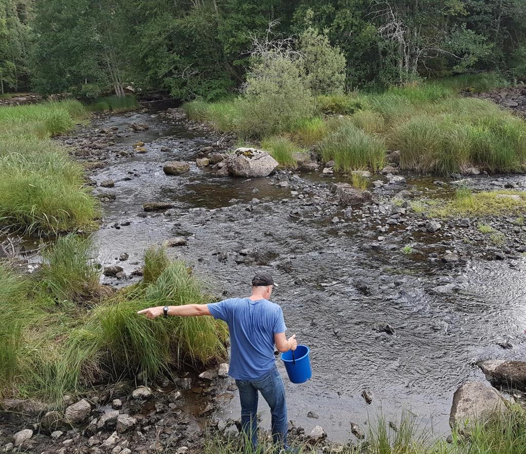 Få öringar hjälpte inte att