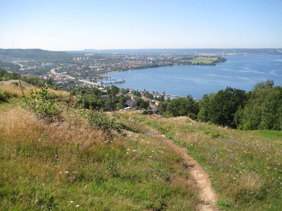 Översiktlig