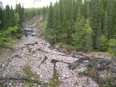 Bild 2.2. Spår av slamström. Göljåns dalgång i sluttningen av Fulufjället i nordvästra Dalarna efter ett våldsamt åskväder 1997. Foto: Hanna Lokrantz, 2004.
