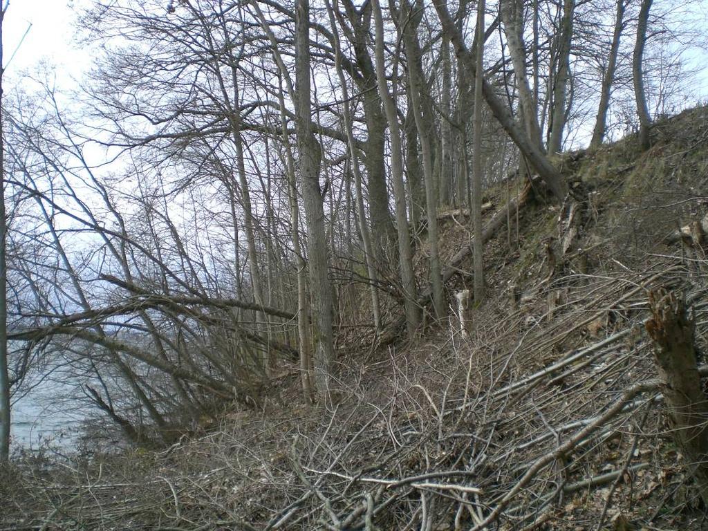 Bild 3.2. Stranderosion i finkornig morän längs Vätterstranden. Delområde B:103. Foto: SGI. 3.3 Delområde Hisingstorp - Hedenstorp Inom större delen av området finns stora sand- och grusområden, där det normalt inte finns risker för naturolyckor.