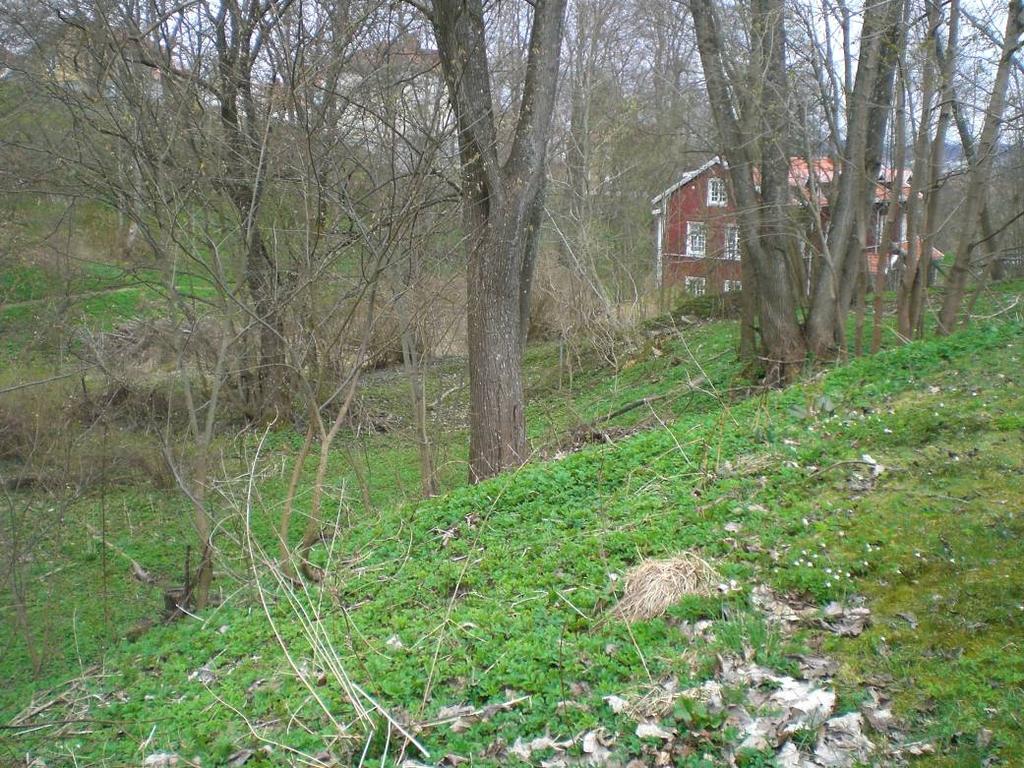 Djupa raviner finns längs vattendragen främst i sluttningarna ner mot Vättern vid Dunkehalla, Bild 3.4.