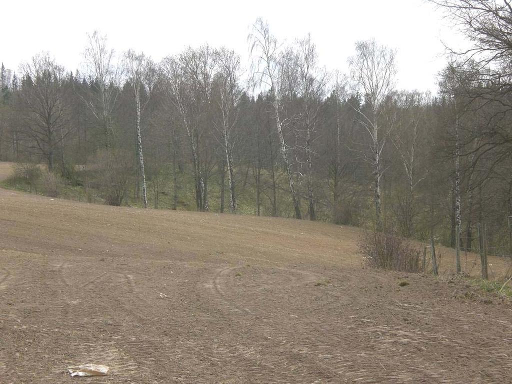 Bild 3.6. Planerat exploateringsområde vid Strömsberg med isälvssediment bestående av sand och grus som angränsar till grund bäckravin. Delområde B:402. Foto: SGI. 3.6 Delområde A6 - Öxnehaga Ovanför A6/Ryhovs-området finns ett större höglänt område med finkornig och lätteroderad morän (områdena B:501, V:502, V:503, O:505, VB:501 och VB:502).
