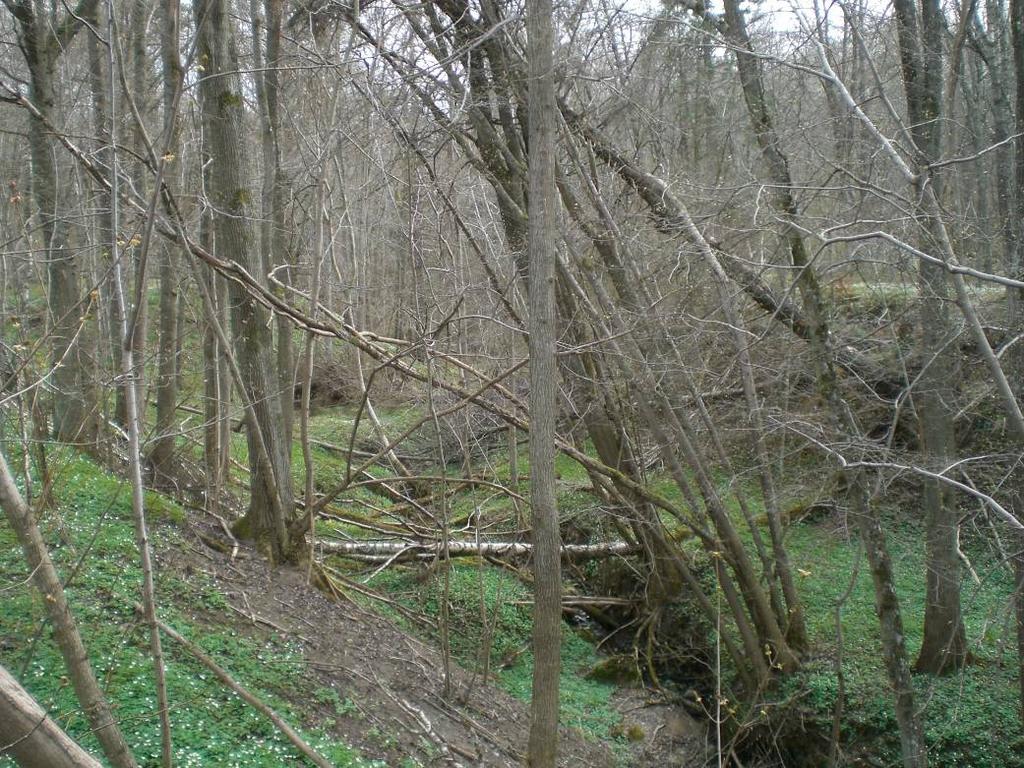 Delområde O:505 ((övre delen). Foto: SGI. Bild 3.8.