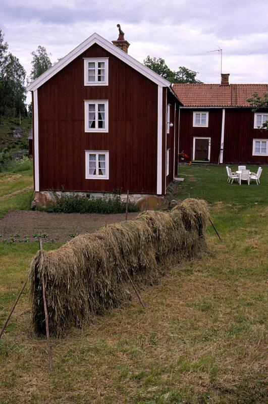 Djurhållning foder och utfodring 889/08 art 19 och 20 Växtätare egenproducerat foder till 60 % Gris och fjäderfä egenproducerat till 20% Naturlig mjölk under en minimiperiod Maximalt