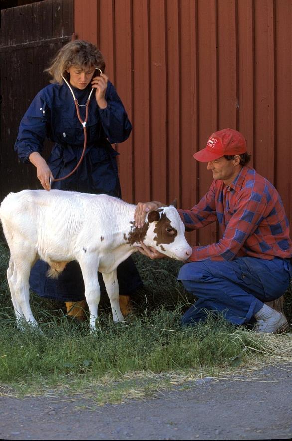 Djurhållning- hälsovård och veterinärbehandling 834/07 art 14.1 e Förebygg sjukdomar!