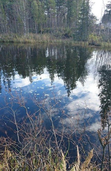 Totalt har nio kontrollmätningar av vattenföringen gjorts under tiden Starflowinstrumentet varit installerat vid Nores bro.