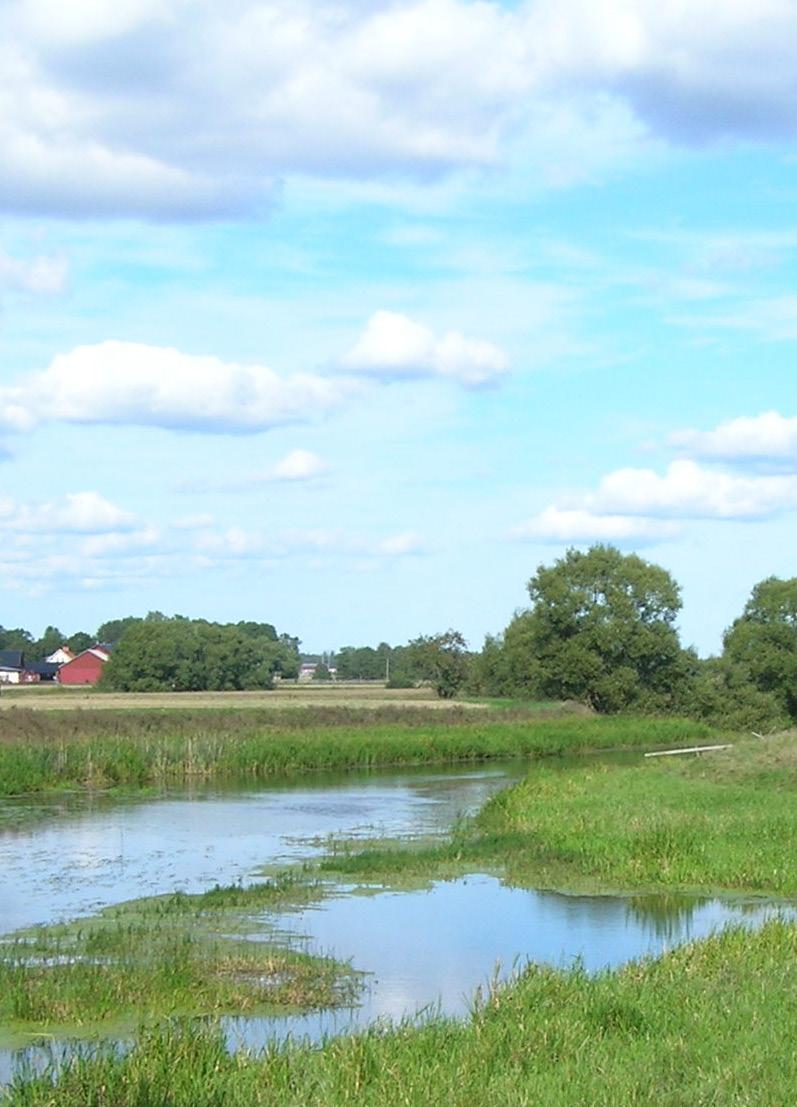 Ett gemensamt klimatanpassningsnätverk i regionen kan underlätta genomförandet av förändringar,