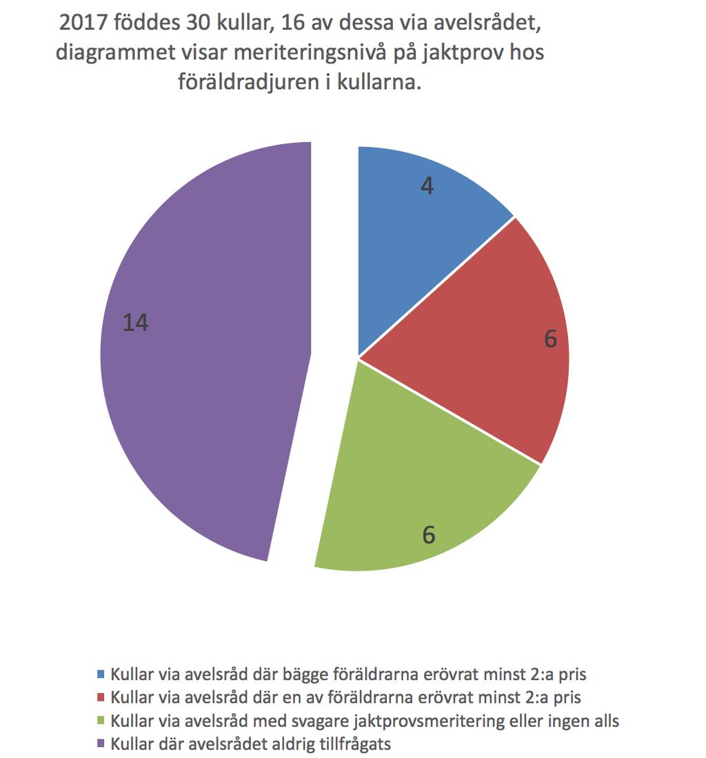 Nordiska Samarbetet Vi har parat 2 tikar utomlands som genererat 2 svenskfödda kullar.