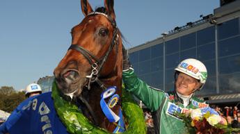 Super Arnie).9.8. Copper Beech* (DE) (9) (e. Como) 9.0.000. Commander Crowe (7) (e. Juliano Star).90.60 6. Quarcio du Chene (6) (e. Capriccio).6.88 7. Global Investment (7) (e. Pine Chip) 0.0.00 8.