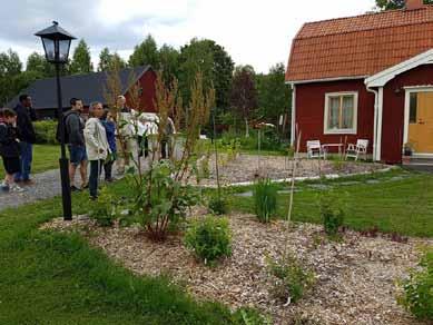 Elmström på Gröna Ånäs.