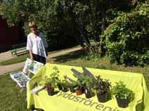Trädgårdsföreningens dag på Götlinska gården 2017 Naturskyddsföreningen var på plats och visade