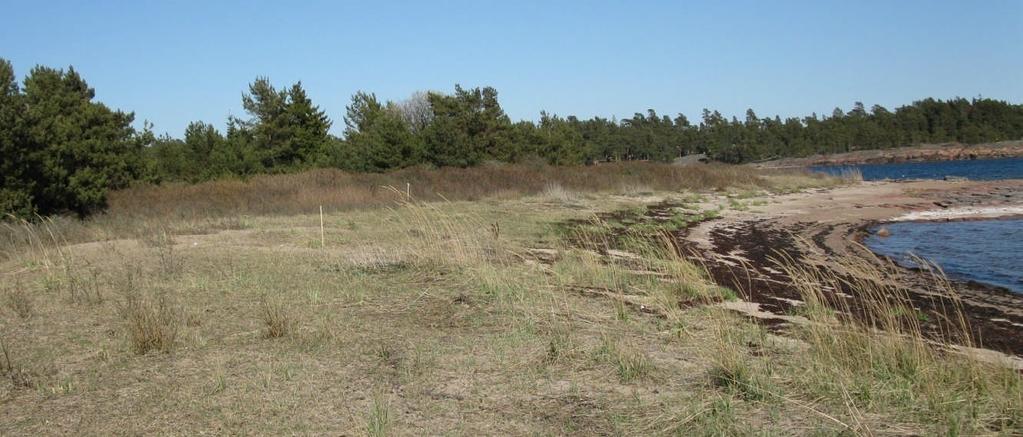 0 Bild Rödklobb östra stranden på våren (foto T. Clayhills). Om metodiken och materialet Barmarks insekter insamlas främst med fallgropsfällor som placeras på lämpliga ställen av den utvalda biotopen.