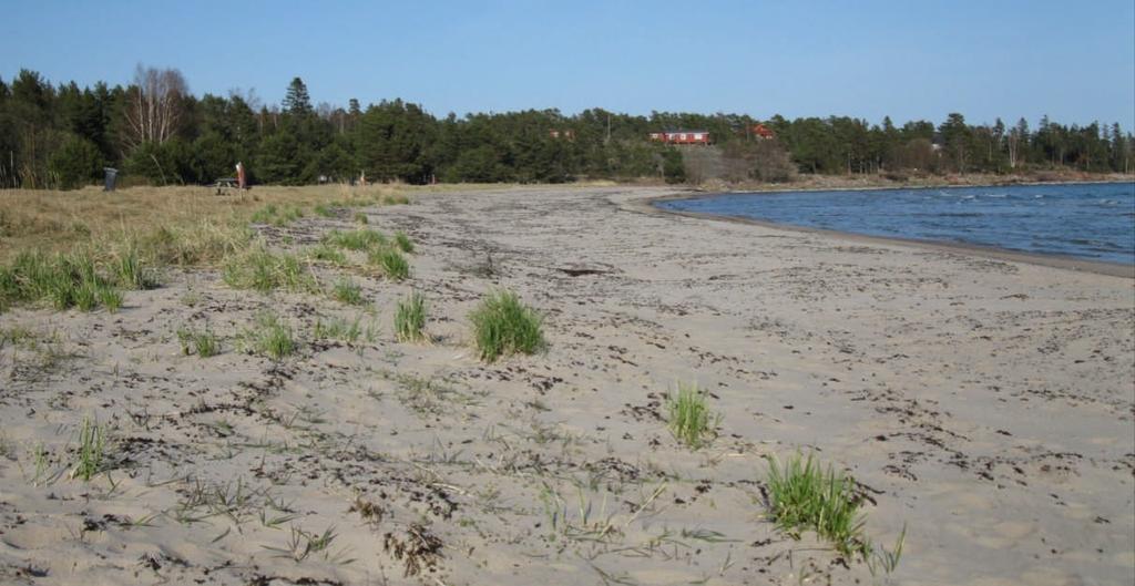 Bild. Degersands sandstrand på våren, tom och fridfull (foto T.