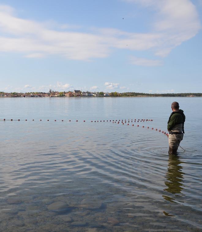 RAPPORT 2015/4 FÖRSTÄRKTA FISKBESTÅND i Roslagens skärgård Verksamhet 2015 Johan Persson,