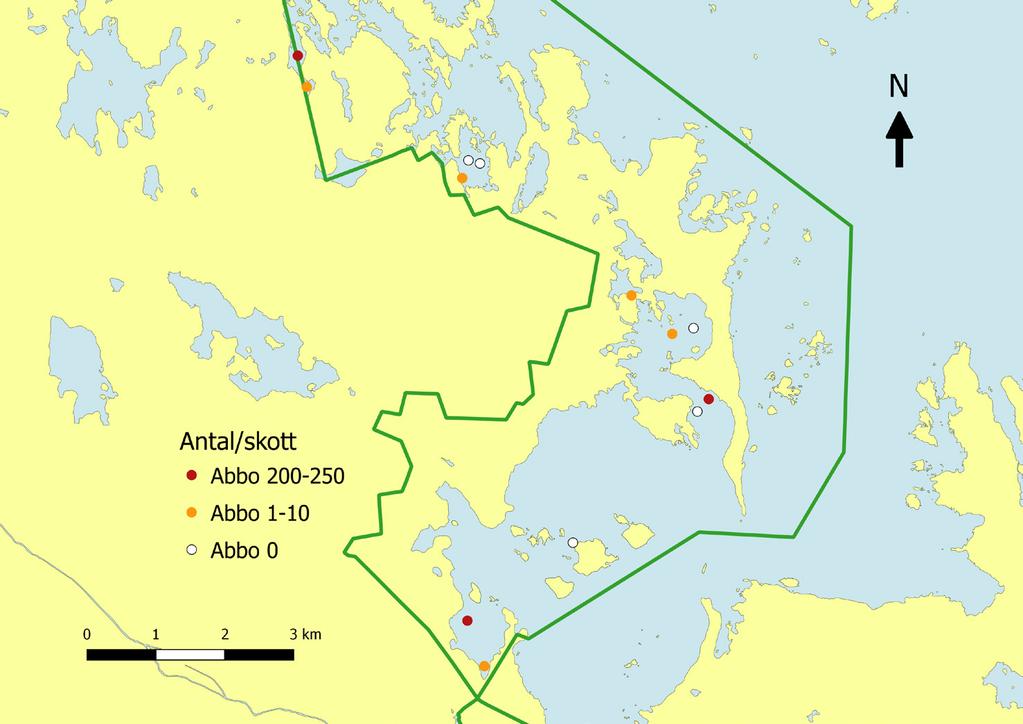 Figur 5. Fångst av årsyngel per skott av abborre i Kallrigareservatet 2015. Totalt lades 13 skott i området.