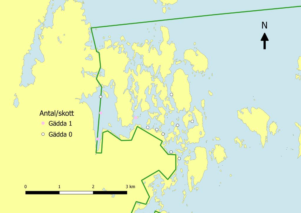 Figur 7. Fångst av årsyngel per skott av gädda i vattnen runt Skaten 2015. Totalt lades 12 skott i området.