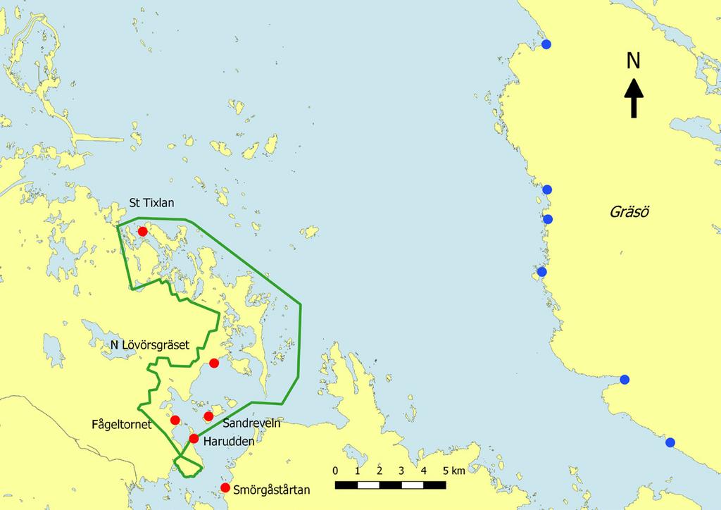 på grundare, vind- och vågskyddade områden som erbjuder den minsta rumsliga komplexiteten är de bottnar som täcks av mattor av slangalgen svartskinna.