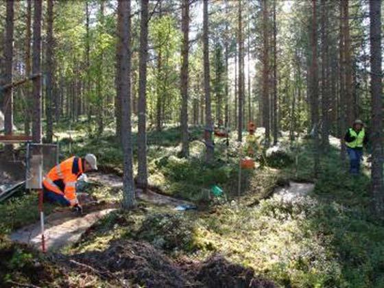 Vallen Kommun Beskrivning Motiv för urval Skydd Tillgänglighet Luleå Fornlämningsområdet väster om Vallen är beläget i ung tallskog, på sandiga terrassbildningar omkring 20 m ö h.