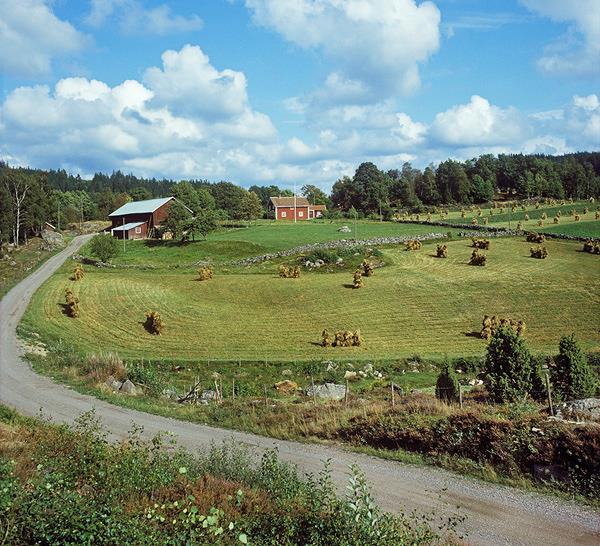 Vissa förändringar är svåra att